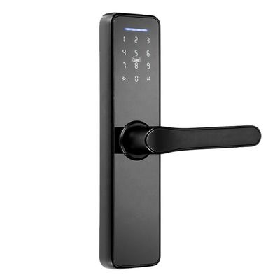 Appの鉄のゲートの銀の黒のための二重味方された指紋ロック