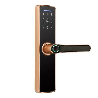 Rosh Ttlock TuyaのAppスマートな電子ロックのWifiパスワード ロック